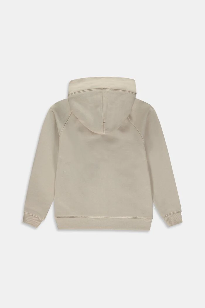 ESPRIT Baumwoll-Hoodie Mit Durchgehendem Reißverschluss 2 ESPRIT Baumwoll-Hoodie Mit Durchgehendem Reißverschluss – Bild 2